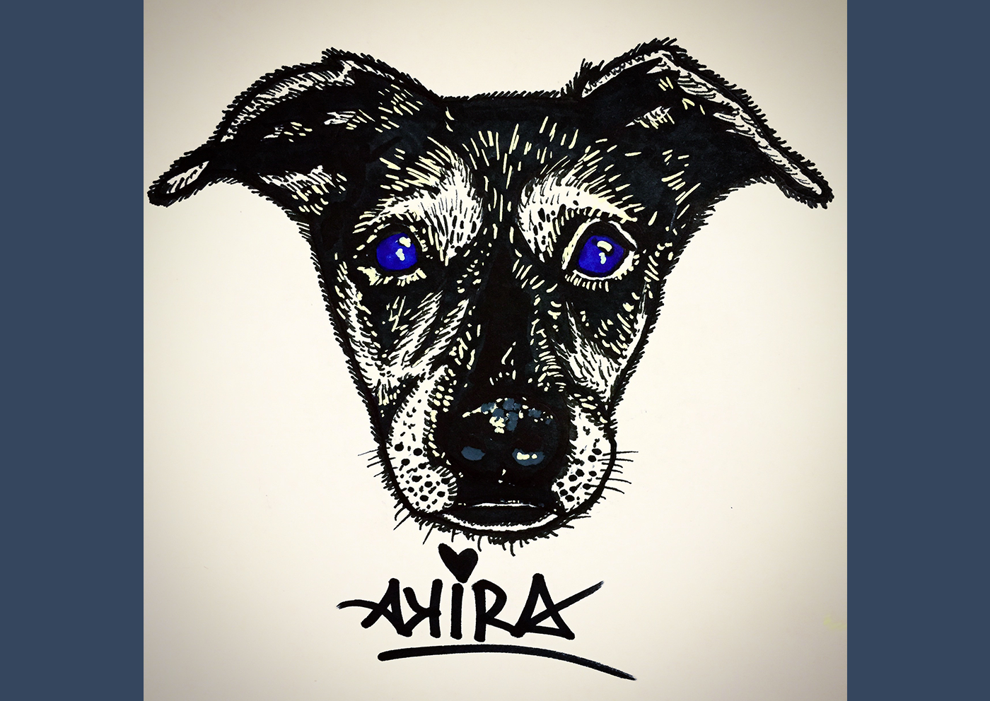 Doge incontra Solo, la sua street art e il suo cane Akira