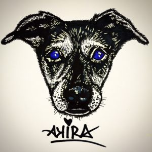 Doge - Solo - Akira