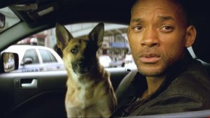 Samantha e se i cani vincessero gli oscar? Doge Dog Empathy io sono leggenda 