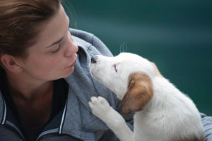Doge Store - Cani e gatti in ospedale