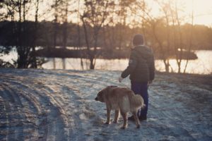Doge store - Le quattro buone regole per far convivere pacificamente cani e bambini
