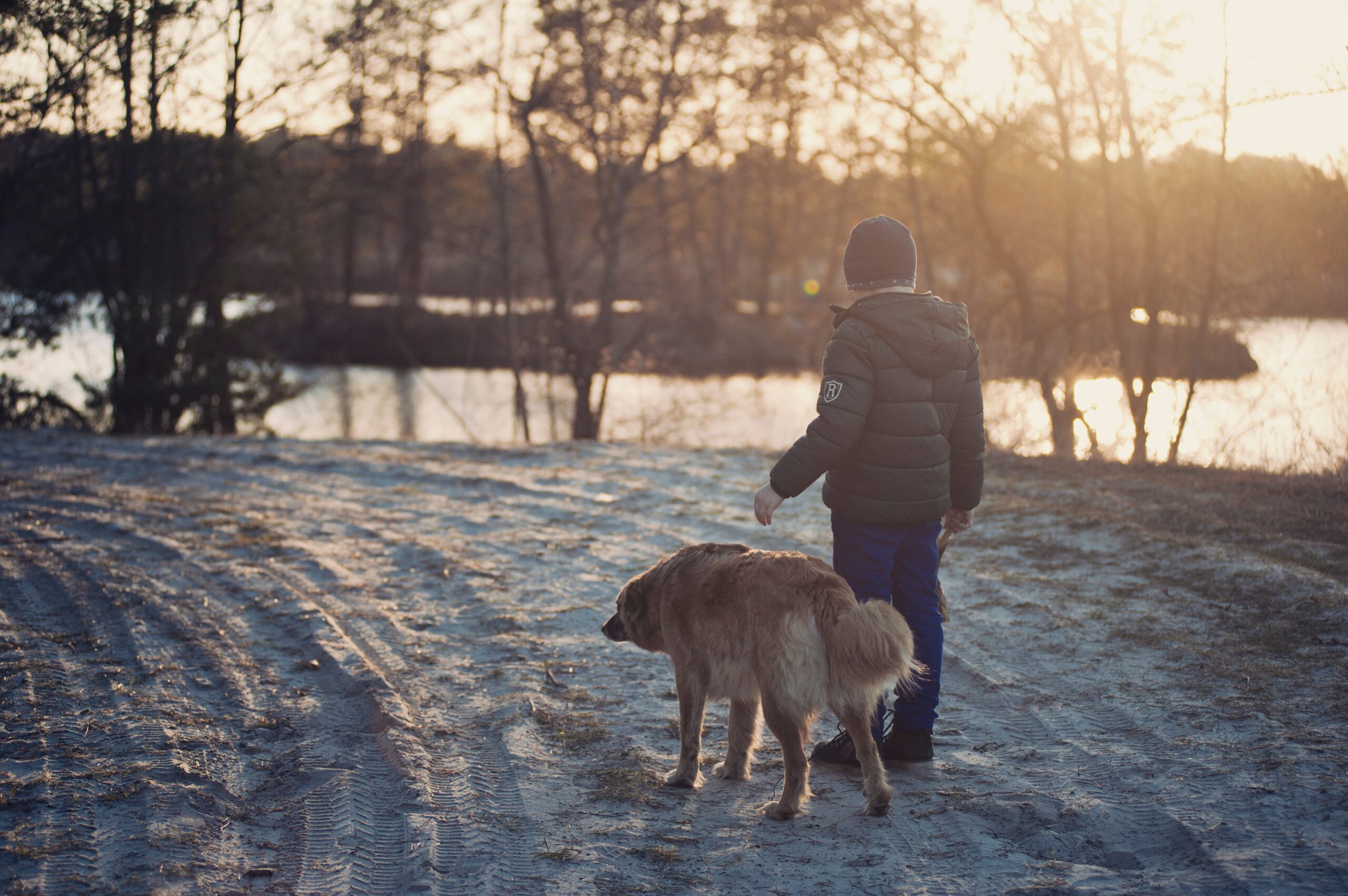 Doge store - Le quattro buone regole per far convivere pacificamente cani e bambini