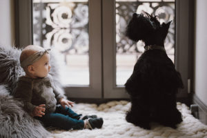 Doge Store - Cani e bambini