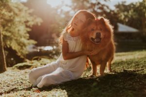 Doge store - Pet therapy