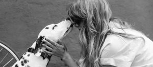 Doge Store - Pet Therapy Torino